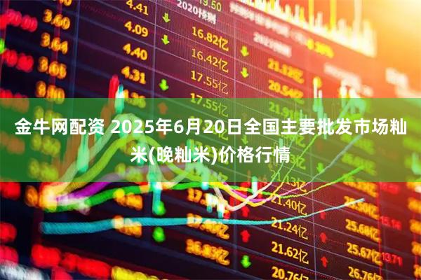 金牛网配资 2025年6月20日全国主要批发市场籼米(晚籼米)价格行情