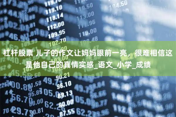 杠杆股票 儿子的作文让妈妈眼前一亮,很难相信这是他自己的真情实感_语文_小学_成绩