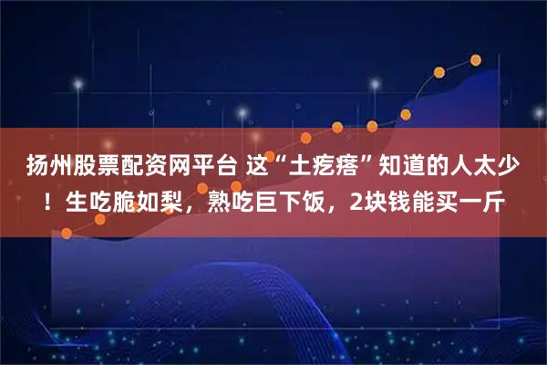 扬州股票配资网平台 这“土疙瘩”知道的人太少！生吃脆如梨，熟吃巨下饭，2块钱能买一斤